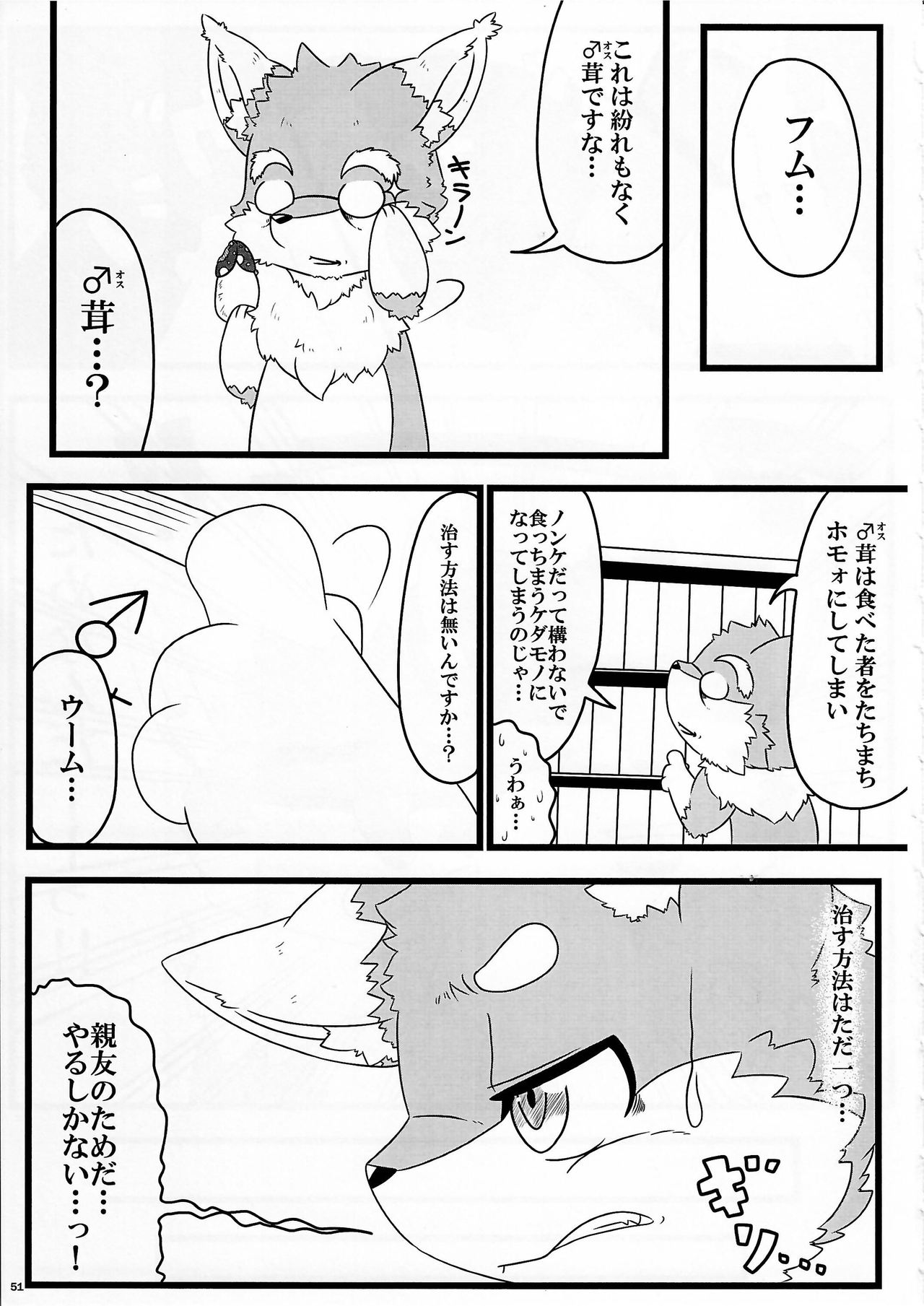 (Kansai! Kemoket 4) [KTQ48 (Various)] KTQ9_50.jpg